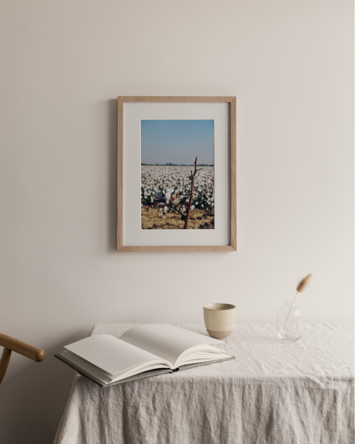 Cotton Field Lifestyle Photography Print