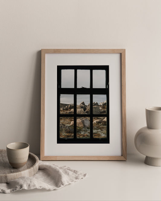 Framed by Wilderness Photography Print