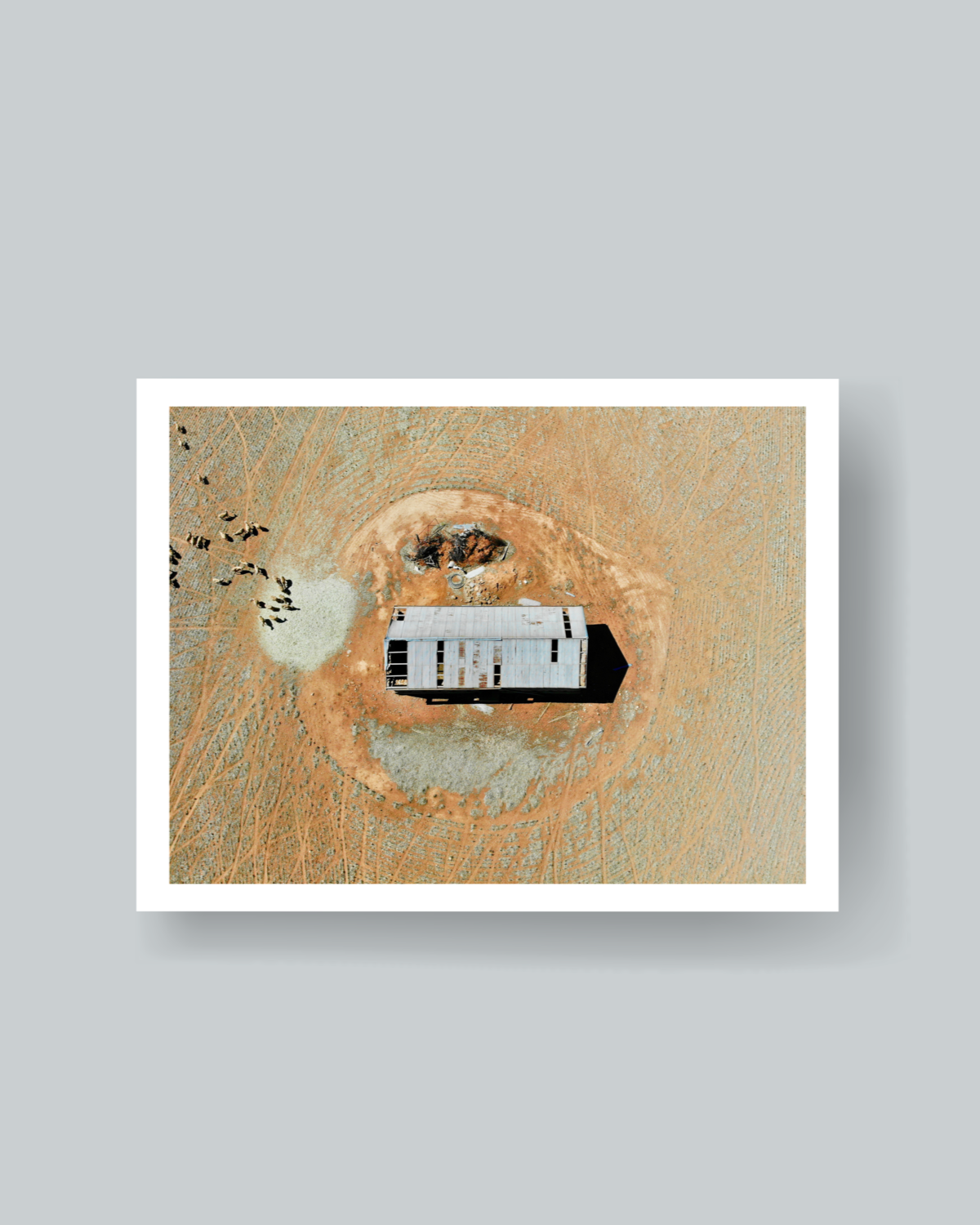 The Wool Shed Photography Print Unframed