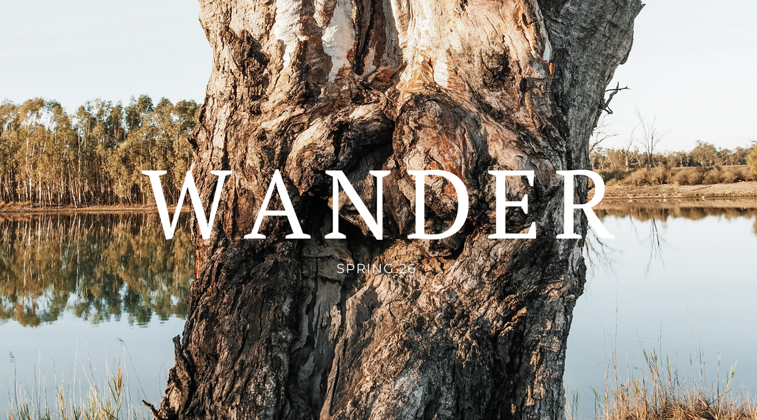 Spring edition of WANDER is here  🌿