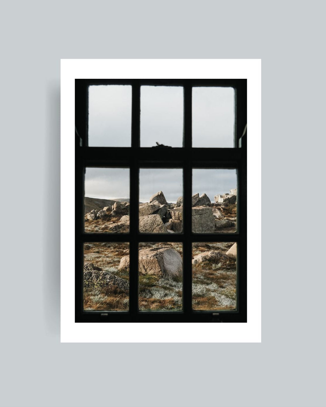 Framed by Wilderness Photography Print Unframed