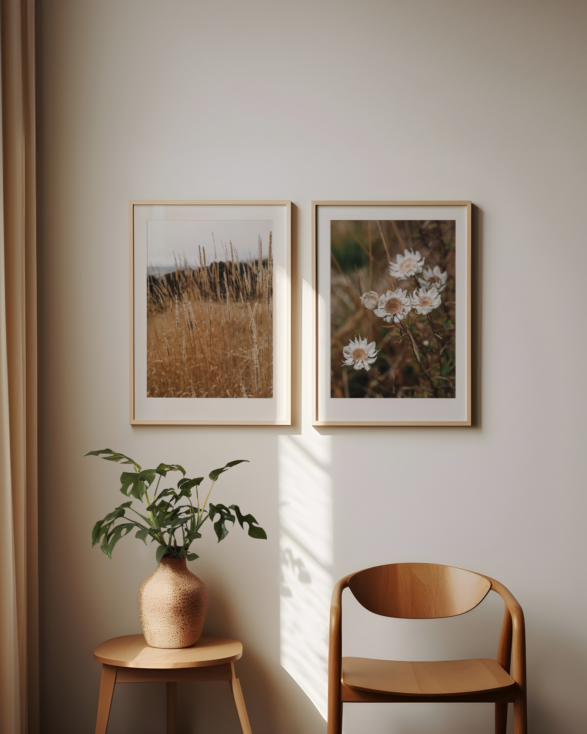 Golden Fields and Sunray Photography Print