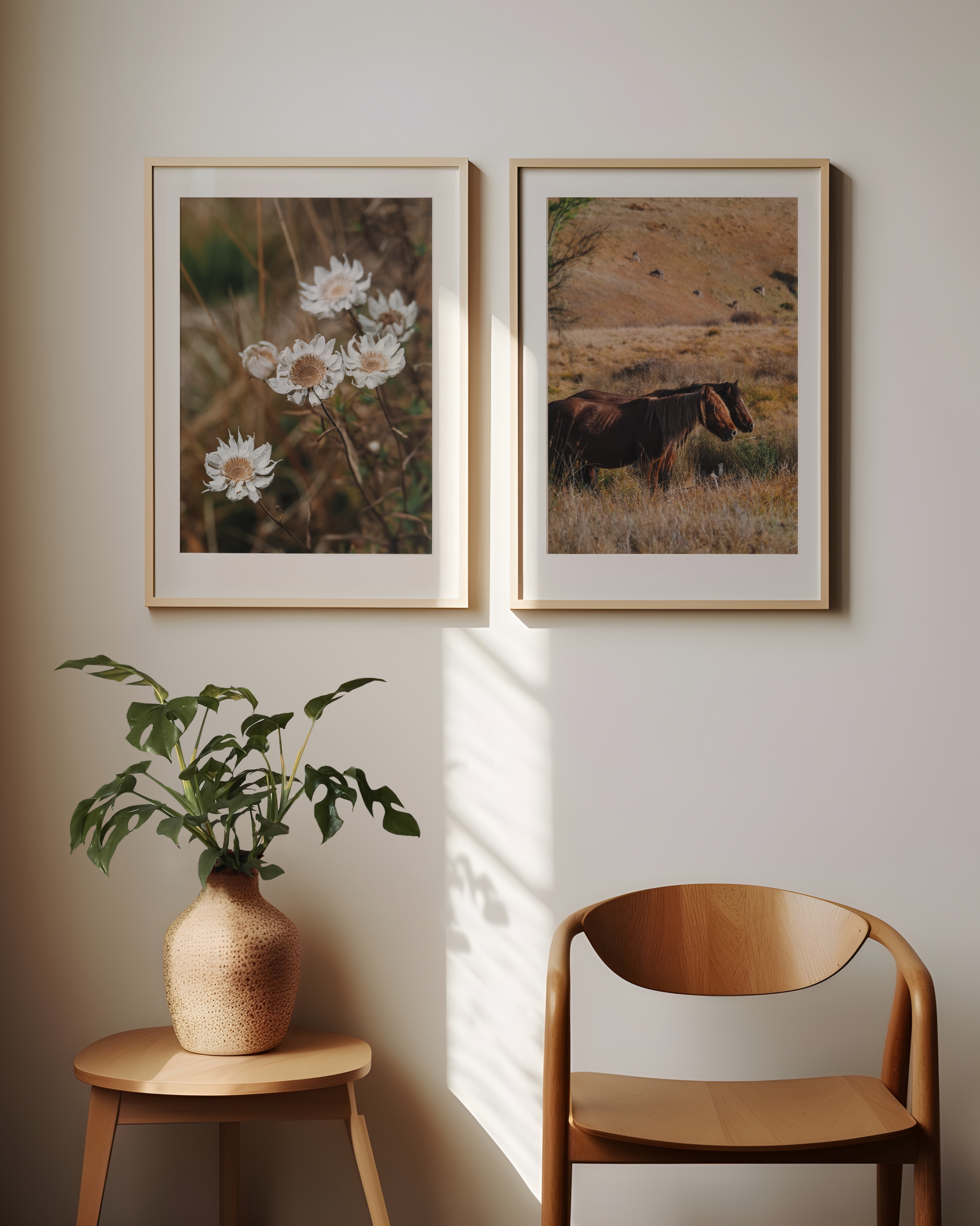 Sunray Lifestyle Photography Print