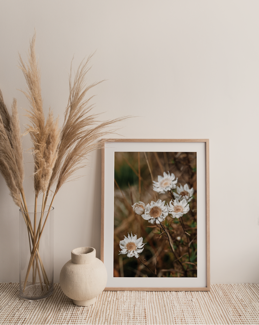 Sunray Photography Print