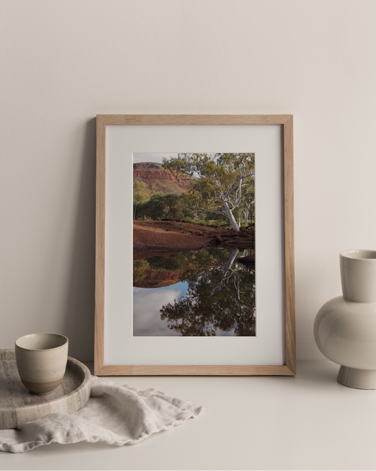 Tiger Eye Pool Photography Print