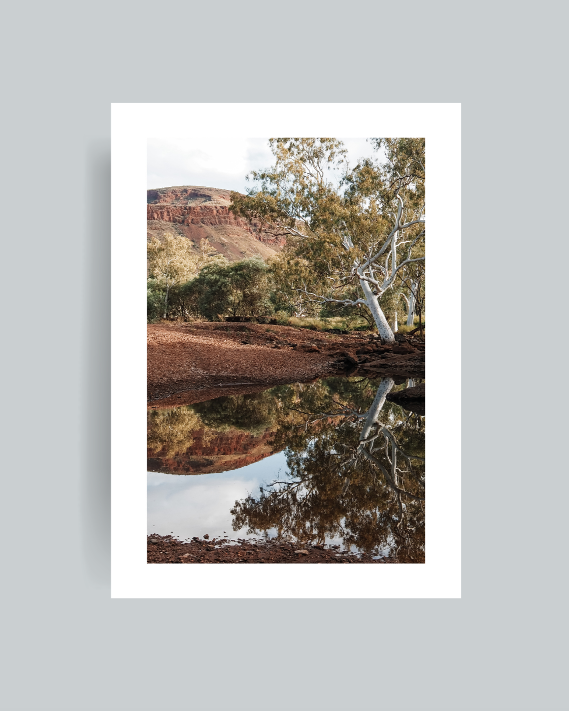 Tiger Eye Pool Photography Print Unframed