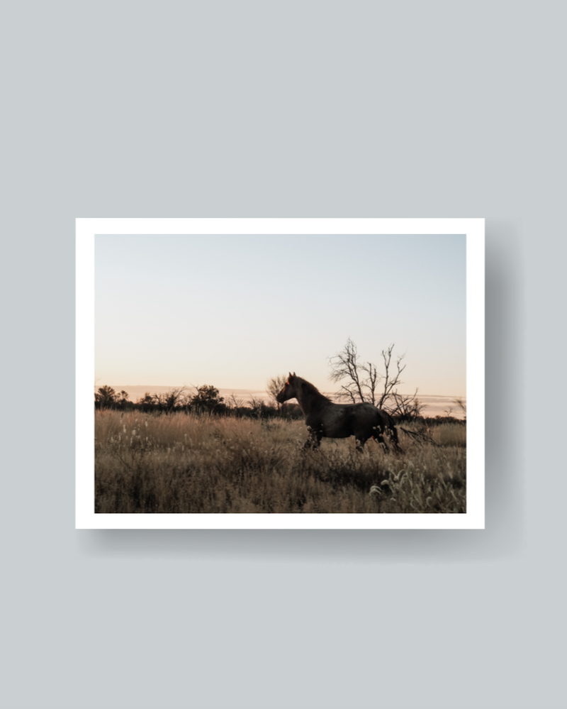 Wild One Photography Print Unframed